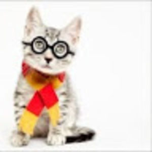 Meet your Posher, Madeline